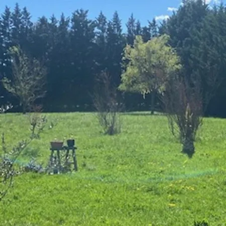 Homestay Les Trois Cypres L'Isle-sur-la-Sorgue